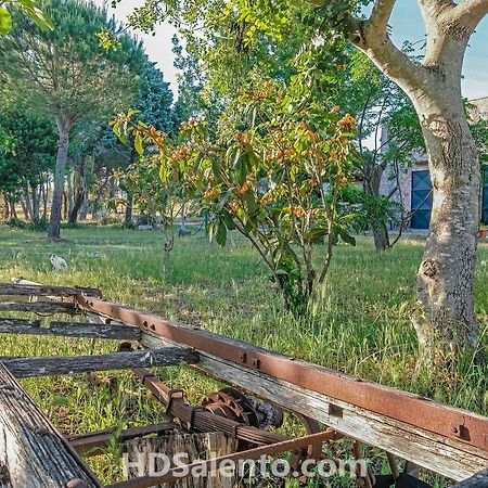 Masseria Macurano Bed and Breakfast Alessano Εξωτερικό φωτογραφία