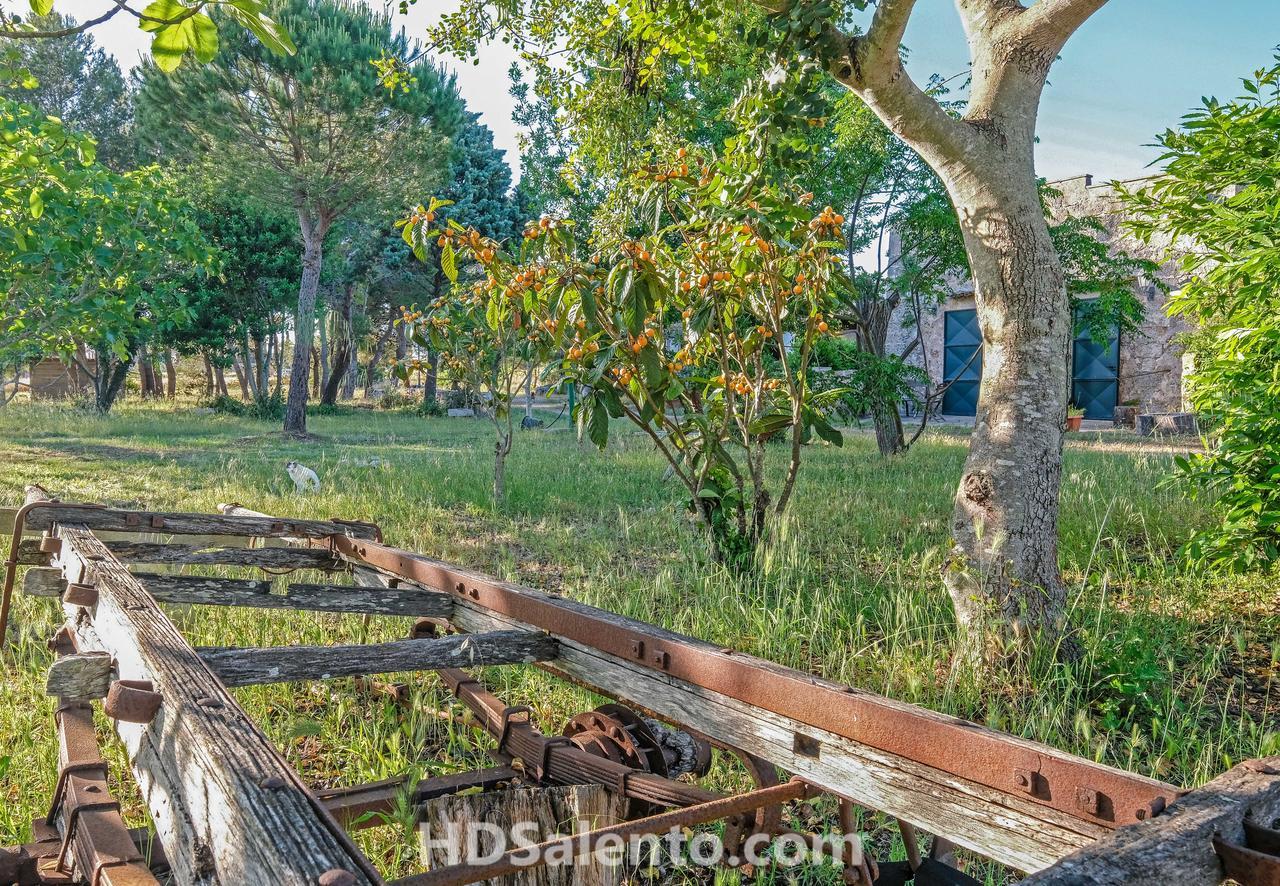 Masseria Macurano Bed and Breakfast Alessano Εξωτερικό φωτογραφία